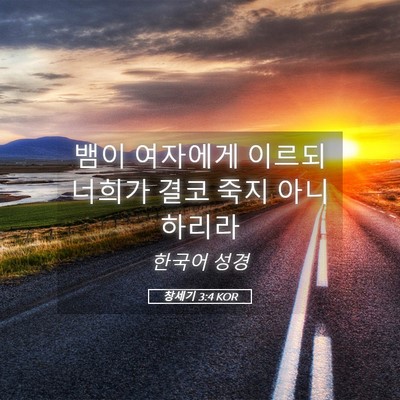 Picture 05 - 창세기 3:4 KOR - 뱀이 여자에게 이르되 너희가 결코 - Bible Verse Picture