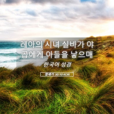 Picture 05 - 창세기 30:10 KOR - 레아의 시녀 실바가 야곱에게 아들을 - Bible Verse Picture
