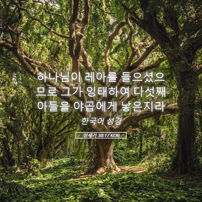 Picture 05 - 창세기 30:17 KOR - 하나님이 레아를 들으셨으므로 그가 - Bible Verse Picture