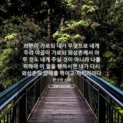 Picture 05 - 창세기 30:31 KOR - 라반이 가로되 내가 무엇으로 네게 - Bible Verse Picture
