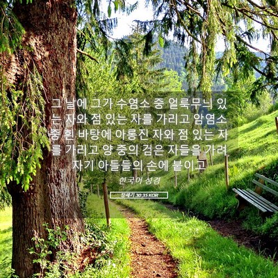 Picture 05 - 창세기 30:35 KOR - 그 날에 그가 수염소 중 얼룩무늬 - Bible Verse Picture
