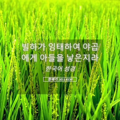 Picture 05 - 창세기 30:5 KOR - 빌하가 잉태하여 야곱에게 아들을 - Bible Verse Picture