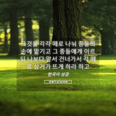 Picture 05 - 창세기 32:16 KOR - 그것을 각각 떼로 나눠 종들의 손에 - Bible Verse Picture