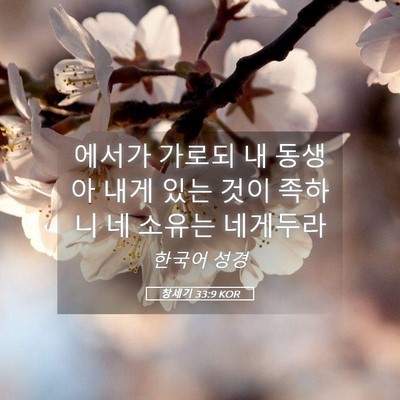 Picture 05 - 창세기 33:9 KOR - 에서가 가로되 내 동생아 내게 있는 - Bible Verse Picture
