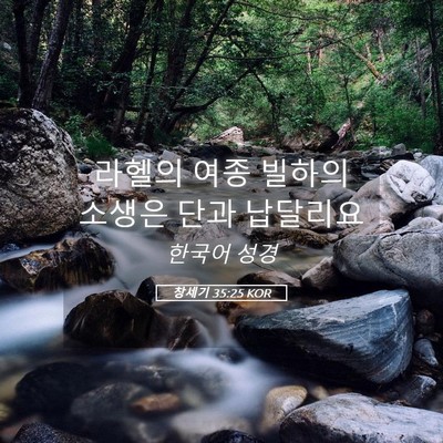Picture 05 - 창세기 35:25 KOR - 라헬의 여종 빌하의 소생은 단과 - Bible Verse Picture