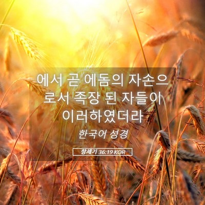 Picture 05 - 창세기 36:19 KOR - 에서 곧 에돔의 자손으로서 족장 된 - Bible Verse Picture