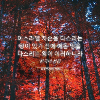 Picture 05 - 창세기 36:31 KOR - 이스라엘 자손을 다스리는 왕이 있기 - Bible Verse Picture