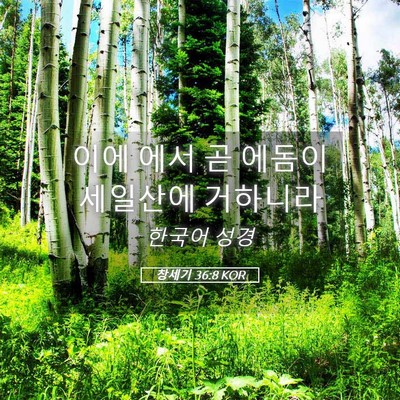 Picture 05 - 창세기 36:8 KOR - 이에 에서 곧 에돔이 세일산에 - Bible Verse Picture