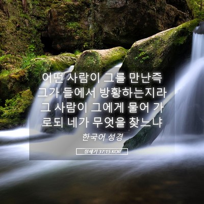 Picture 05 - 창세기 37:15 KOR - 어떤 사람이 그를 만난즉 그가 - Bible Verse Picture