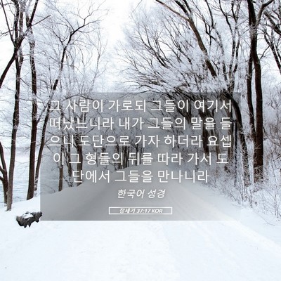 Picture 05 - 창세기 37:17 KOR - 그 사람이 가로되 그들이 여기서 - Bible Verse Picture