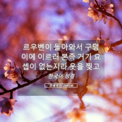 Picture 05 - 창세기 37:29 KOR - 르우벤이 돌아와서 구덩이에 이르러 - Bible Verse Picture