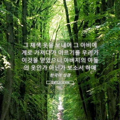 Picture 05 - 창세기 37:32 KOR - 그 채색 옷을 보내어 그 아비에게로 - Bible Verse Picture
