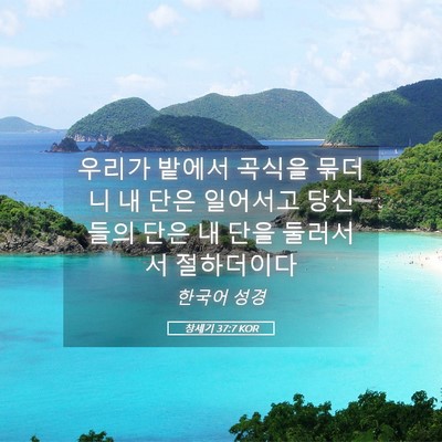 Picture 05 - 창세기 37:7 KOR - 우리가 밭에서 곡식을 묶더니 내 - Bible Verse Picture