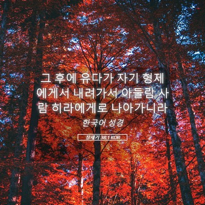 Picture 05 - 창세기 38:1 KOR - 그 후에 유다가 자기 형제에게서 - Bible Verse Picture