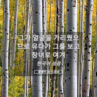 Picture 05 - 창세기 38:15 KOR - 그가 얼굴을 가리웠으므로 유다가 - Bible Verse Picture