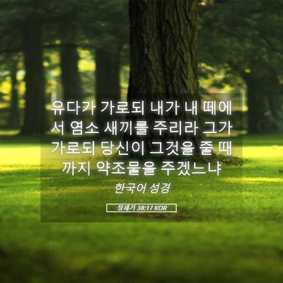 Picture 05 - 창세기 38:17 KOR - 유다가 가로되 내가 내 떼에서 염소 - Bible Verse Picture