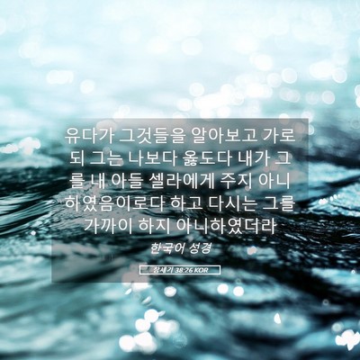 Picture 05 - 창세기 38:26 KOR - 유다가 그것들을 알아보고 가로되 - Bible Verse Picture