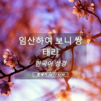 Picture 05 - 창세기 38:27 KOR - 임산하여 보니 - Bible Verse Picture