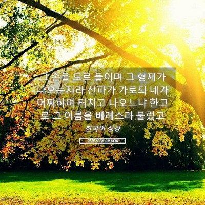 Picture 05 - 창세기 38:29 KOR - 그 손을 도로 들이며 그 형제가 - Bible Verse Picture