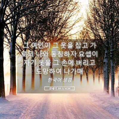 Picture 05 - 창세기 39:12 KOR - 그 여인이 그 옷을 잡고 가로되 나와 - Bible Verse Picture