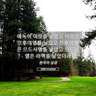 Picture 05 - 창세기 4:18 KOR - 에녹이 이랏을 낳았고 이랏은 - Bible Verse Picture