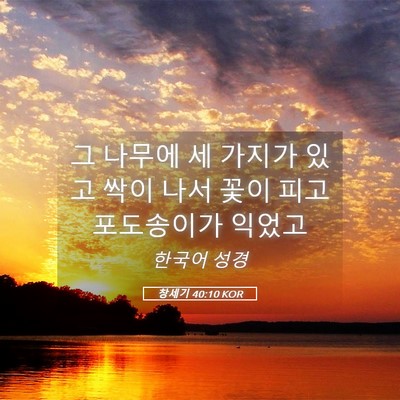 Picture 05 - 창세기 40:10 KOR - 그 나무에 세 가지가 있고 싹이 나서 - Bible Verse Picture