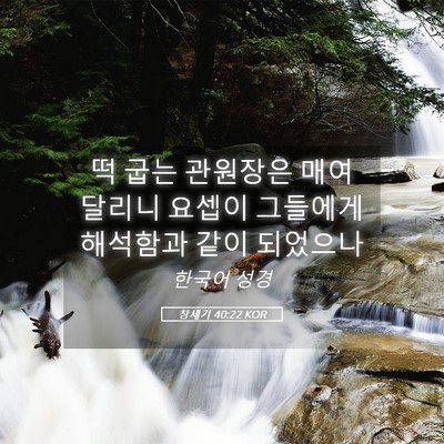 Picture 05 - 창세기 40:22 KOR - 떡 굽는 관원장은 매여 달리니 - Bible Verse Picture