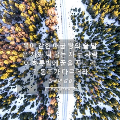 Picture 05 - 창세기 40:5 KOR - 옥에 갇힌 애굽 왕의 술 맡은 자와 떡 - Bible Verse Picture