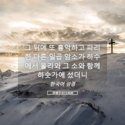 Picture 05 - 창세기 41:3 KOR - 그 뒤에 또 흉악하고 파리한 다른 - Bible Verse Picture