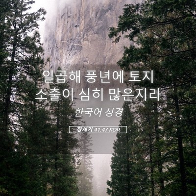 Picture 05 - 창세기 41:47 KOR - 일곱해 풍년에 토지 소출이 심히 - Bible Verse Picture