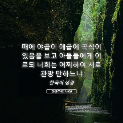 Picture 05 - 창세기 42:1 KOR - 때에 야곱이 애굽에 곡식이 있음을 - Bible Verse Picture