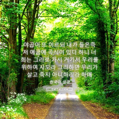 Picture 05 - 창세기 42:2 KOR - 야곱이 또 이르되 내가 들은즉 저 - Bible Verse Picture