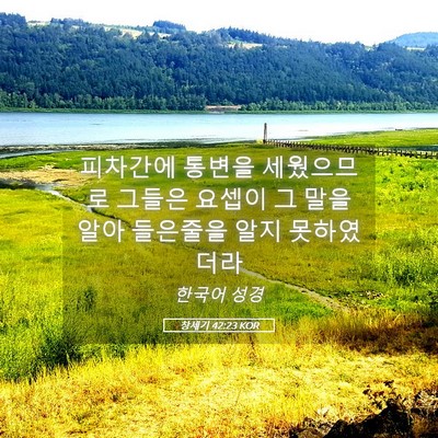 Picture 05 - 창세기 42:23 KOR - 피차간에 통변을 세웠으므로 그들은 - Bible Verse Picture