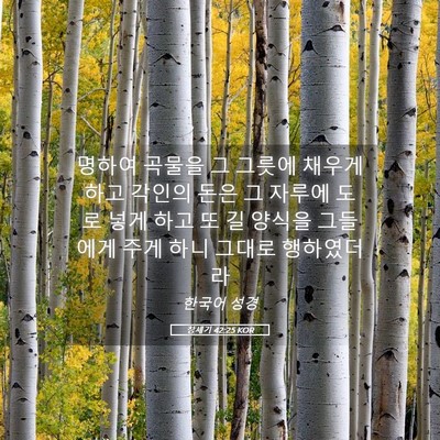 Picture 05 - 창세기 42:25 KOR - 명하여 곡물을 그 그릇에 채우게 - Bible Verse Picture