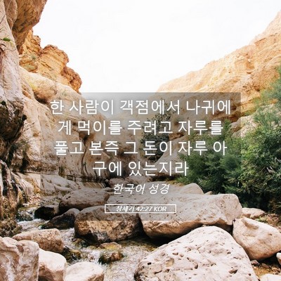 Picture 05 - 창세기 42:27 KOR - 한 사람이 객점에서 나귀에게 먹이를 - Bible Verse Picture