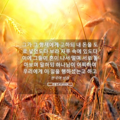 Picture 05 - 창세기 42:28 KOR - 그가 그 형제에게 고하되 내 돈을 - Bible Verse Picture