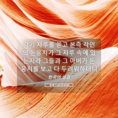 Picture 05 - 창세기 42:35 KOR - 각기 자루를 쏟고 본즉 각인의 - Bible Verse Picture