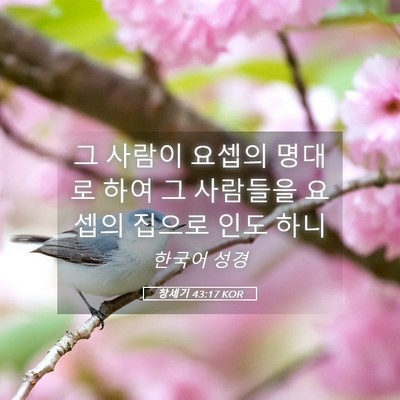 Picture 05 - 창세기 43:17 KOR - 그 사람이 요셉의 명대로 하여 그 - Bible Verse Picture
