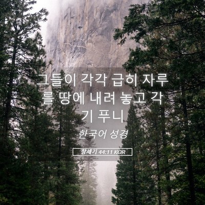 Picture 05 - 창세기 44:11 KOR - 그들이 각각 급히 자루를 땅에 내려 - Bible Verse Picture