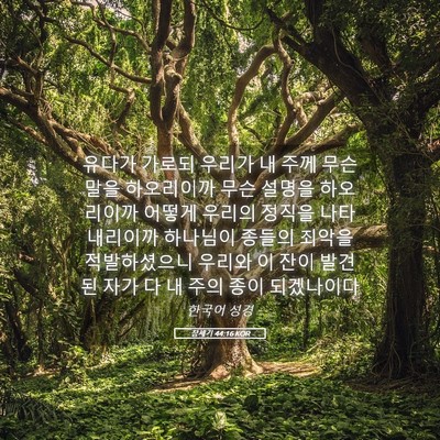 Picture 05 - 창세기 44:16 KOR - 유다가 가로되 우리가 내 주께 무슨 - Bible Verse Picture