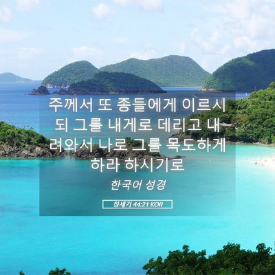 Picture 05 - 창세기 44:21 KOR - 주께서 또 종들에게 이르시되 그를 - Bible Verse Picture
