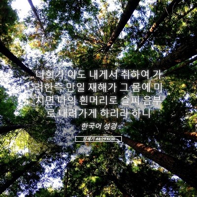 Picture 05 - 창세기 44:29 KOR - 너희가 이도 내게서 취하여 가려한즉 - Bible Verse Picture