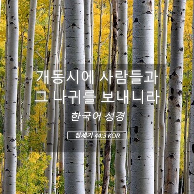 Picture 05 - 창세기 44:3 KOR - 개동시에 사람들과 그 나귀를 - Bible Verse Picture