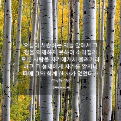 Picture 05 - 창세기 45:1 KOR - 요셉이 시종하는 자들 앞에서 그 - Bible Verse Picture