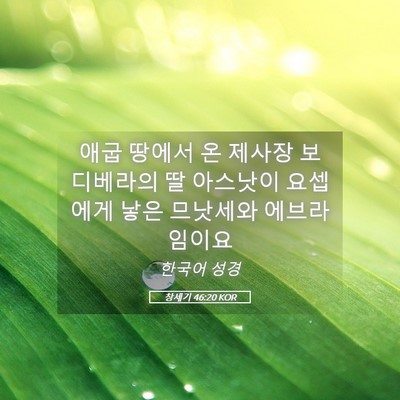 Picture 05 - 창세기 46:20 KOR - 애굽 땅에서 온 제사장 보디베라의 - Bible Verse Picture