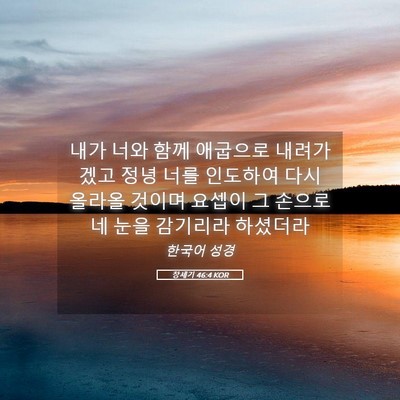 Picture 05 - 창세기 46:4 KOR - 내가 너와 함께 애굽으로 내려가겠고 - Bible Verse Picture