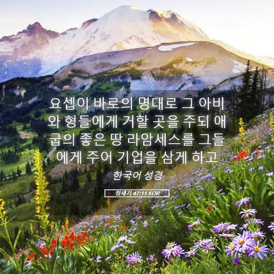 Picture 05 - 창세기 47:11 KOR - 요셉이 바로의 명대로 그 아비와 - Bible Verse Picture