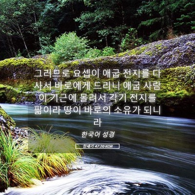 Picture 05 - 창세기 47:20 KOR - 그러므로 요셉이 애굽 전지를 다사서 - Bible Verse Picture