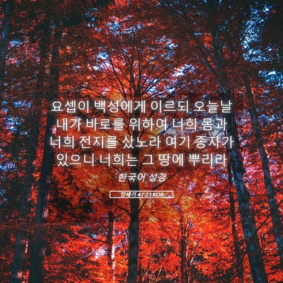 Picture 05 - 창세기 47:23 KOR - 요셉이 백성에게 이르되 오늘날 내가 - Bible Verse Picture