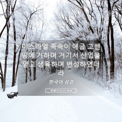 Picture 05 - 창세기 47:27 KOR - 이스라엘 족속이 애굽 고센 땅에 - Bible Verse Picture